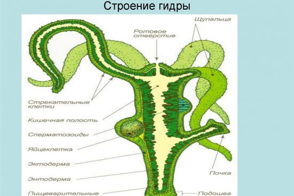 Адрес сайта даркнет